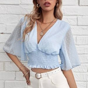 Baby Blue Sheer Crop Top